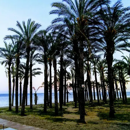 Estudio En 1ª Linea De La Playa Torremolinos